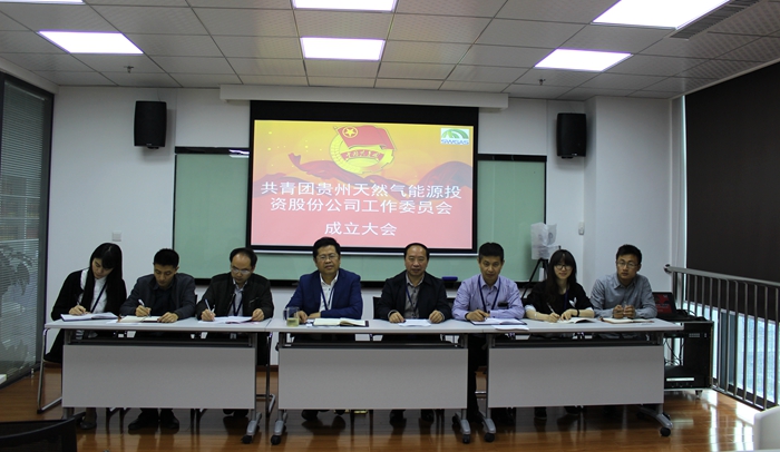 天然气能投团工委成立.jpg