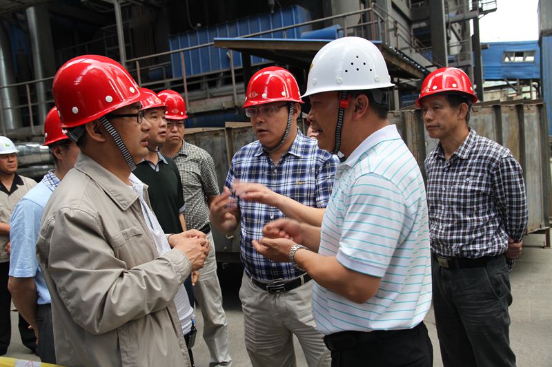 省国资委总经济师安丰明到贵州新能源公司火铺项目调研