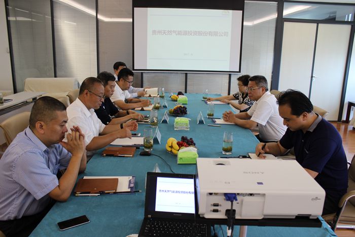 贵州省人大常委会副主任王世杰调研1_副本.jpg