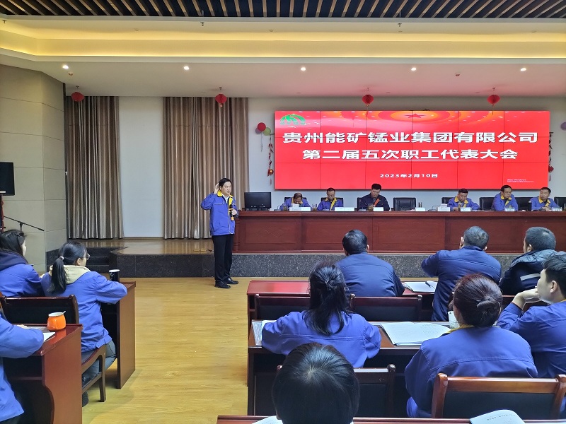 图2-党委书记谭晓军作总结讲话.jpg