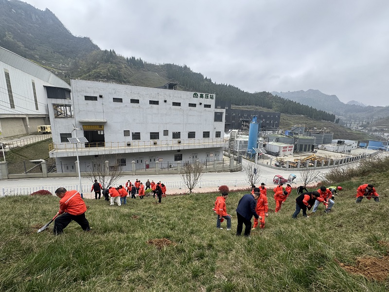 微信图片_2026-03-19_163254_347 - 副本.jpg